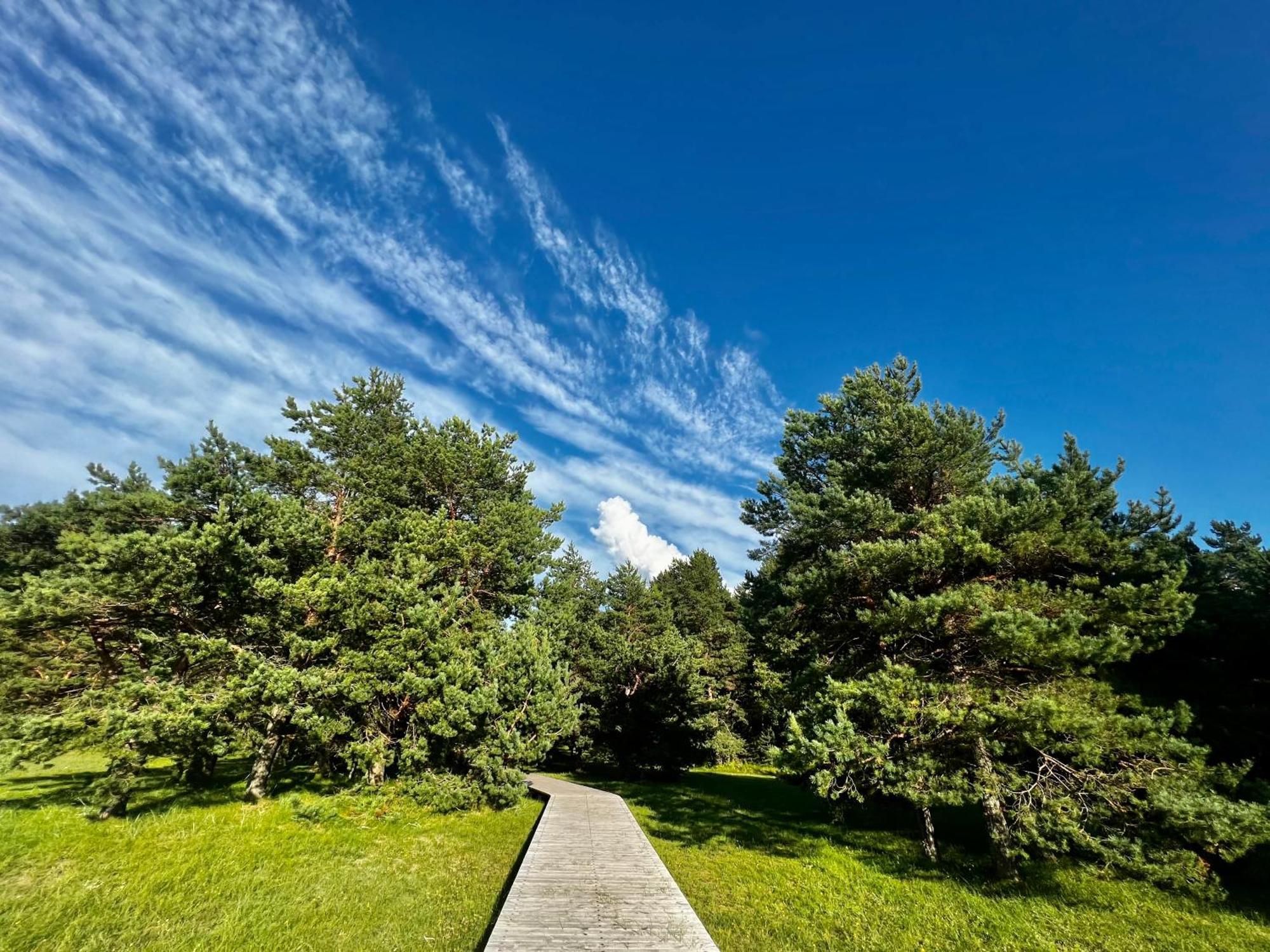 Eco-House Ainazi Villa ภายนอก รูปภาพ